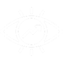 Vision Icon